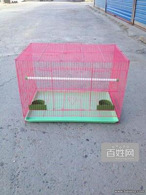 寵物籠具批發零售 折疊籠、方管狗籠等一站式選購指南