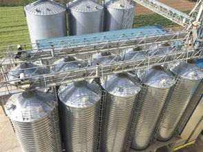 安德里茨與澳華集團(tuán)深化合作 第二個(gè)技術(shù)轉(zhuǎn)讓項(xiàng)目成功投產(chǎn)